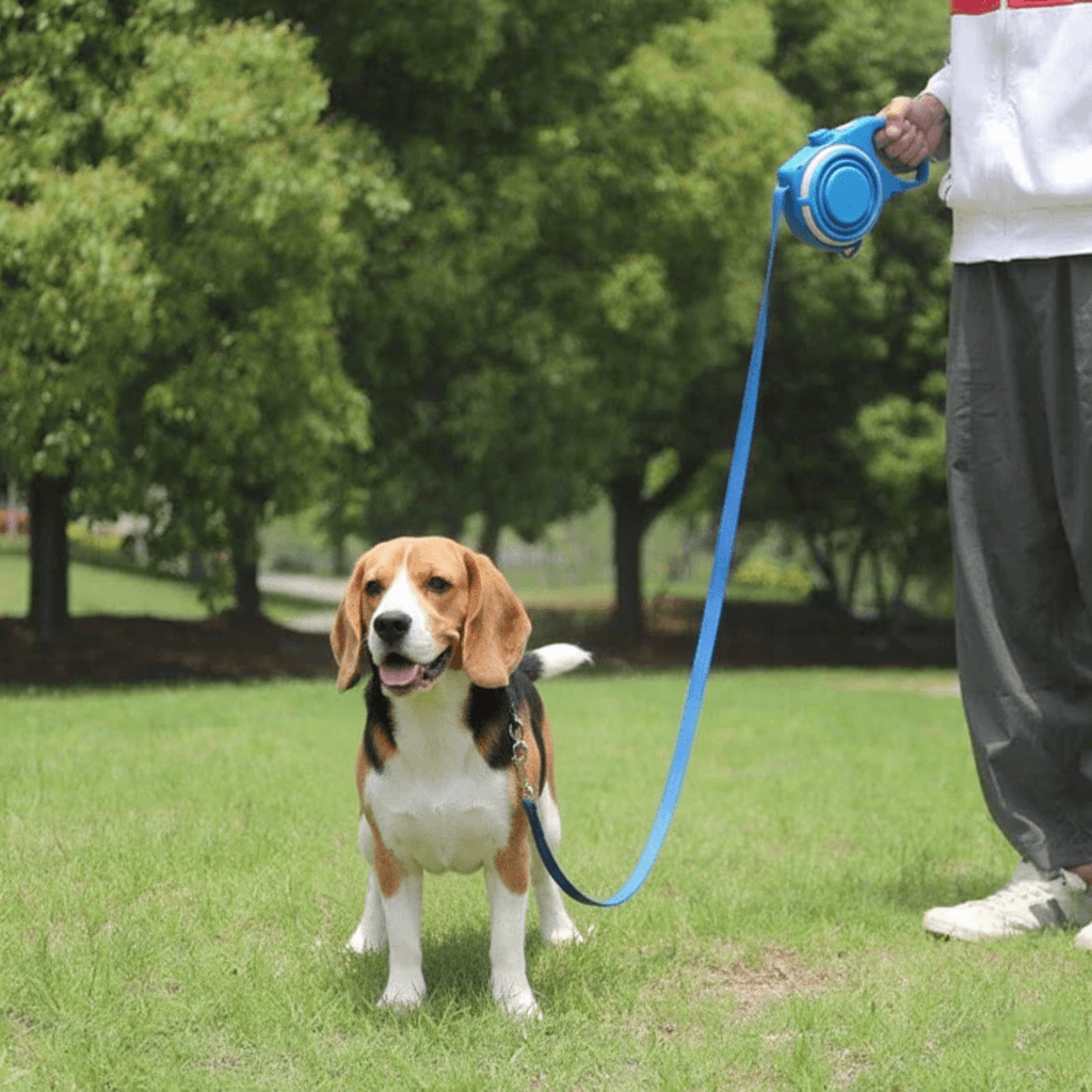 All-in-One Dog Leash with Water Bottle, Bowl & Waste Bags