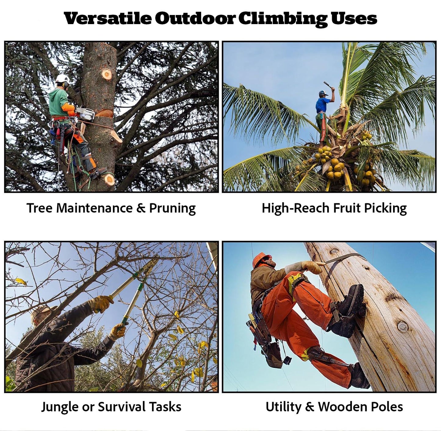 Heavy-Duty Tree Climbing Spikes with Safety Belt