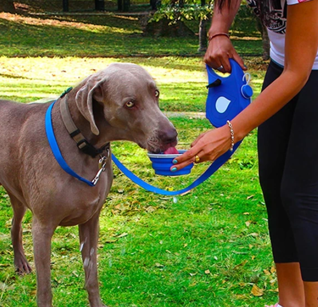 Multi-functional Retractable Dog Leash With Built-in Water Bottle, Bowl & Waste Bag Dispenser - Clauve