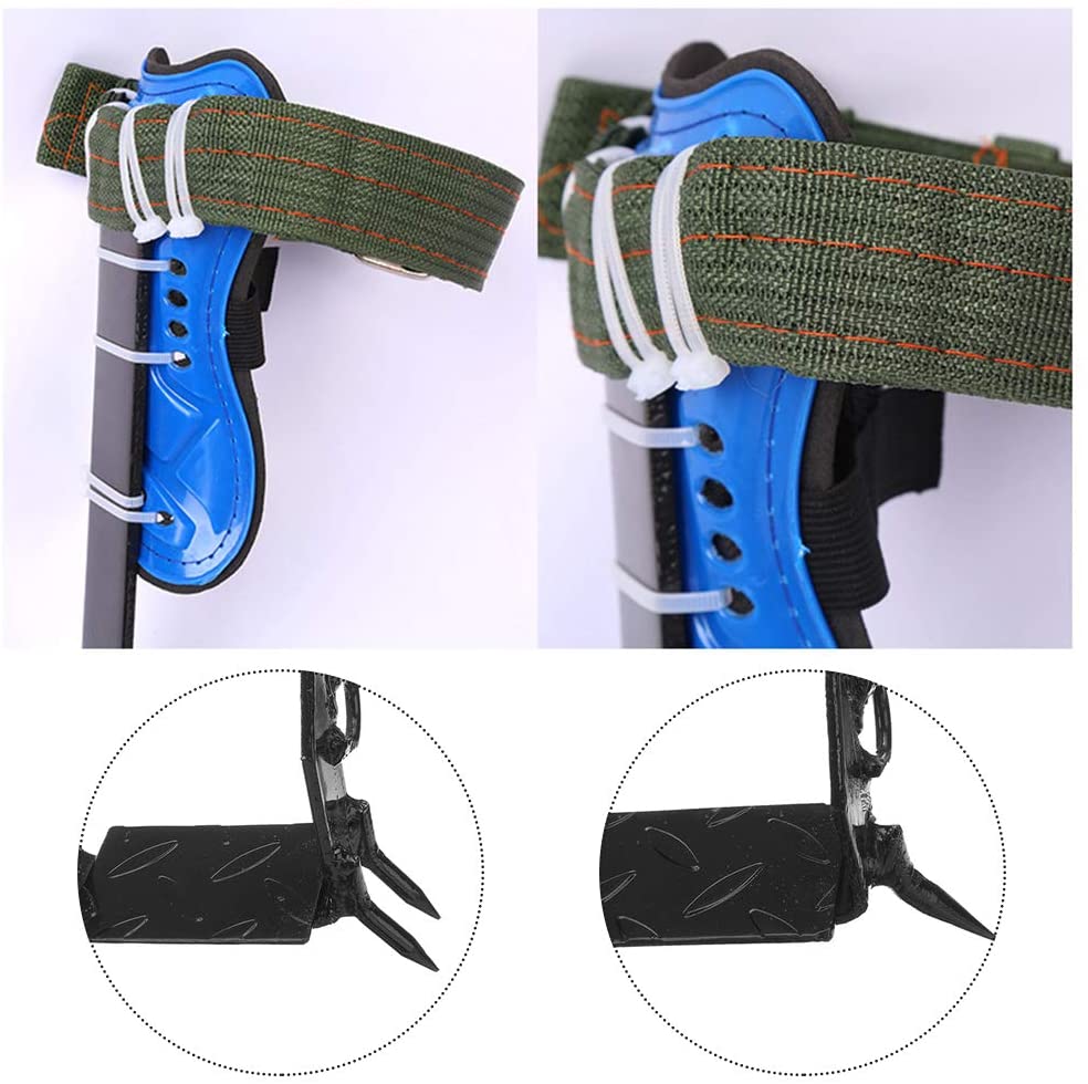 Professional Tree Climbing Spikes - Ideal for Picking Fruit, Cutting trees, Hunting