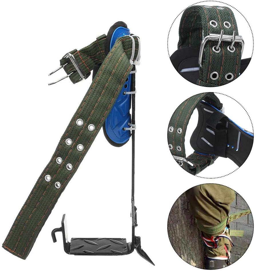 Professional Tree Climbing Spikes - Ideal for Picking Fruit, Cutting trees, Hunting